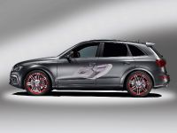 Audi Q5 custom concept (2009) - picture 6 of 18