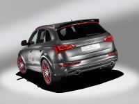 Audi Q5 custom concept (2009) - picture 7 of 18