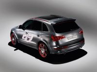 Audi Q5 custom concept (2009) - picture 8 of 18