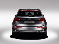 Audi Q5 custom concept (2009)