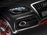 Audi Q5 custom concept (2009) - picture 10 of 18