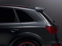 Audi Q5 custom concept (2009) - picture 11 of 18