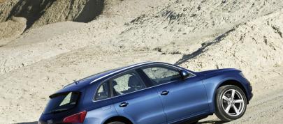 Audi Q5 (2009) - picture 4 of 15