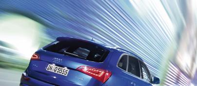 Audi Q5 (2009) - picture 7 of 15