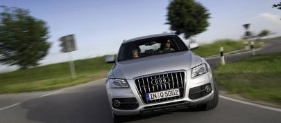 Audi Q5 (2009) - picture 12 of 15