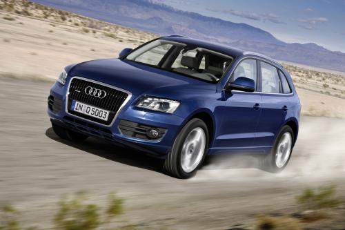 Audi Q5 (2009) - picture 1 of 15