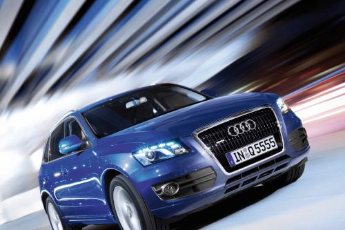 Audi Q5 (2009) - picture 8 of 15