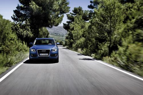 Audi Q5 (2009) - picture 9 of 15