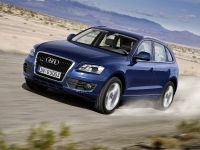 Audi Q5 (2009) - picture 1 of 15