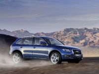 Audi Q5 (2009) - picture 2 of 15