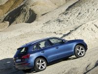 Audi Q5 (2009) - picture 4 of 15