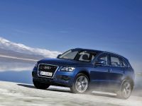 Audi Q5 (2009) - picture 5 of 15