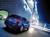 Audi Q5 (2009) - picture 6 of 15