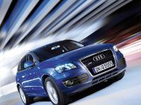 Audi Q5 (2009) - picture 8 of 15