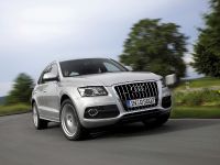 Audi Q5 (2009) - picture 11 of 15