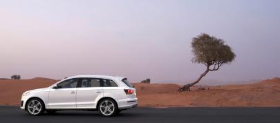 Audi Q7 V12 TDI quattro (2009) - picture 7 of 40