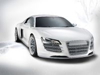 Audi R8 Spark Eight by Eisenmann (2010) - picture 1 of 5