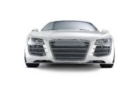 Audi R8 Spark Eight by Eisenmann (2010) - picture 3 of 5