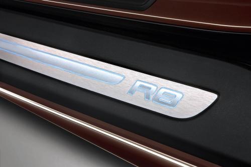 Audi R8 Spyder 5.2 FSI quattro (2010) - picture 17 of 36