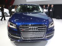 Audi S Q5 Detroit (2013)