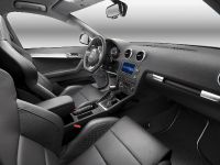 Audi S3/ S3 Sportback (2009) - picture 18 of 31