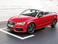 Audi S3 Cabrio Worthersee (2014) - picture 1 of 5