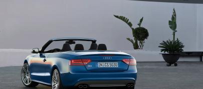 Audi S5 Cabriolet (2010) - picture 20 of 51
