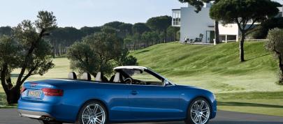 Audi S5 Cabriolet (2010) - picture 23 of 51