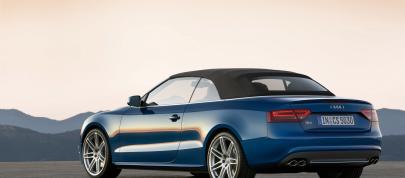Audi S5 Cabriolet (2010) - picture 31 of 51