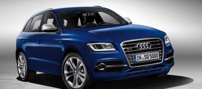 Audi SQ5 TDI (2013) - picture 4 of 38