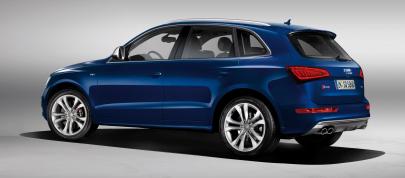 Audi SQ5 TDI (2013) - picture 7 of 38