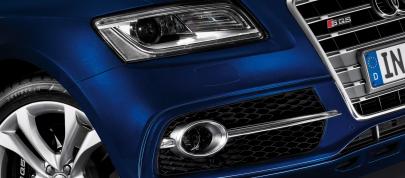 Audi SQ5 TDI (2013) - picture 12 of 38