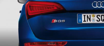 Audi SQ5 TDI (2013) - picture 15 of 38