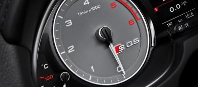 Audi SQ5 TDI (2013) - picture 36 of 38