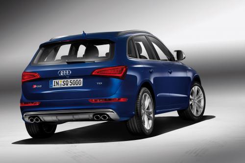 Audi SQ5 TDI (2013) - picture 8 of 38