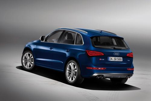 Audi SQ5 TDI (2013) - picture 9 of 38