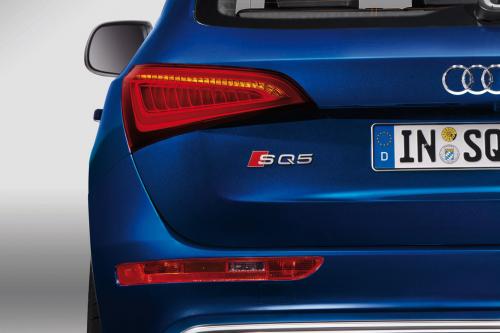 Audi SQ5 TDI (2013) - picture 16 of 38