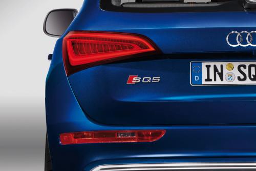 Audi SQ5 TDI (2013) - picture 17 of 38