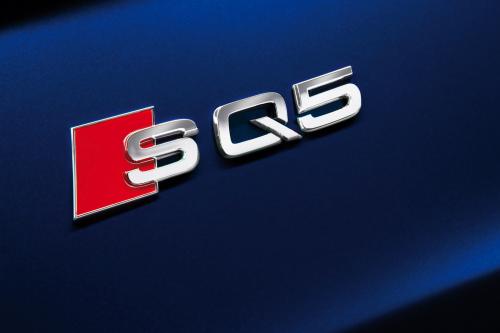 Audi SQ5 TDI (2013) - picture 24 of 38