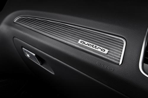 Audi SQ5 TDI (2013) - picture 33 of 38