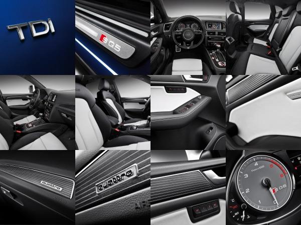 Audi SQ5 TDI (2013) - picture 25 of 38