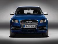 Audi SQ5 TDI (2013) - picture 3 of 38