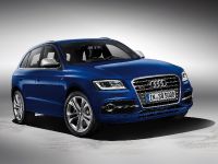 Audi SQ5 TDI (2013) - picture 4 of 38