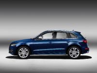Audi SQ5 TDI (2013) - picture 6 of 38