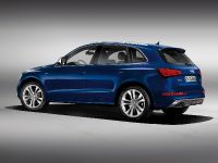 Audi SQ5 TDI (2013) - picture 7 of 38