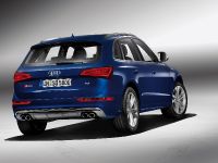 Audi SQ5 TDI (2013) - picture 8 of 38