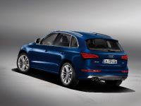 Audi SQ5 TDI (2013)
