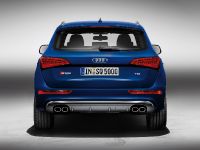 Audi SQ5 TDI (2013) - picture 10 of 38