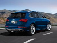 Audi SQ5 TDI (2013) - picture 11 of 38