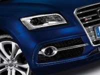 Audi SQ5 TDI (2013) - picture 13 of 38